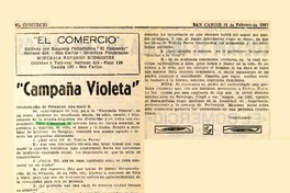"Campaña Violeta"  [artículo]Fernando Abu Kalil S.