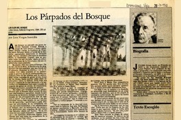 Los Párpados del bosque  [artículo]Luis Vargas Saavedra.