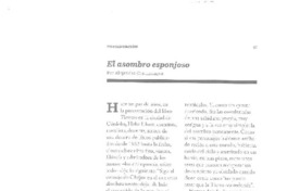 El asombro esponjoso  [artículo] Alejandra Costamagna.