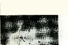 Papelucho" en película animada.  [artículo]