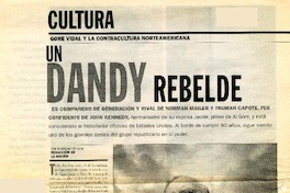 Un Dandy rebelde  [artículo] Mili Rodríguez Villouta.