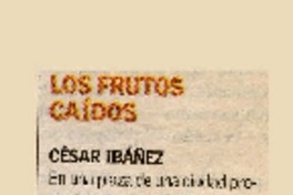 Los Frutos caídos.  [artículo]