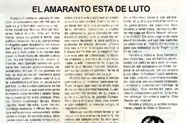 El amaranto está de luto  [artículo]Rodrigo de los Reyes Recabarren.
