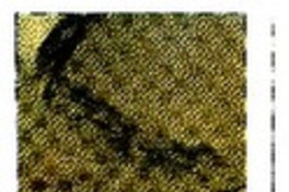 Skàrmeta y su nueva novela  [artículo]