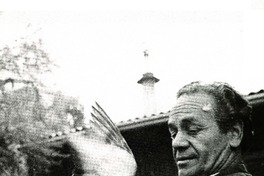 Las campañas por Parra  [artículo] Antonio Díaz Oliva.