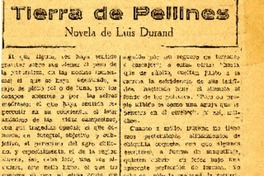 Tierra de Pellines.  [artículo]