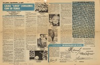 Cada "loco" (chileno) con su tema  [artículo] Lucía Zamora.