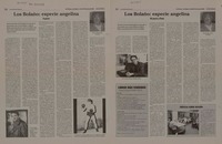 Los Bolaño: especie angelina  [artículo] Ramón Barrientos Arellano.