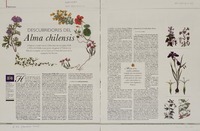 Descubridores del alma chilensis  [artículo] Jessica Atal K.