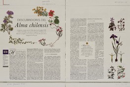 Descubridores del alma chilensis  [artículo] Jessica Atal K.