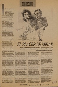 El placer de mirar  [artículo] Patricio Bañados.