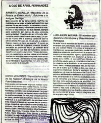 A ojo de Ariel Fernández  [artículo] Ariel Fernández.