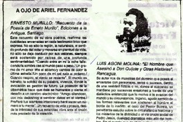 A ojo de Ariel Fernández  [artículo] Ariel Fernández.