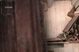 El mundo según Bertoni  [artículo] Natalia Correa Vargas.