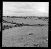 [Mar y campos de la isla] : Chiloé Sul [Sur]de Chile