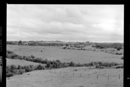 [Mar y campos de la isla] : Chiloé Sul [Sur]de Chile