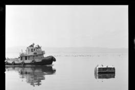 [Puerto y muelle] : Lota y Talcahuano
