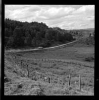 [Paisajes sureños] : Chile Sul [Sur de Chile]