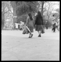 [Vendedora en triciclo] : Quinta Normal