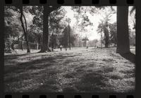 [Imágenes de el interior del Parque] : Quinta Normal