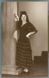 [Mujer vestida estilo española]