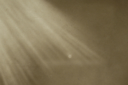 María Consuelo Martín B.