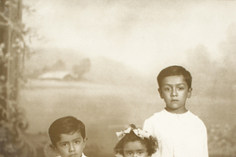 [Dos niños y una niña [hermanos]