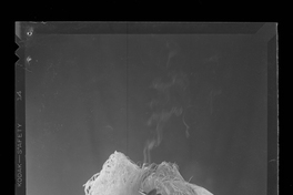 [Bruno , vedette travesti]