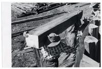 [Trabajadores construyendo embarcaciones en el Astillero]