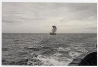 [Vista de una embarcación navegando en el río Maule]