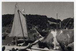 [Caleta de] Angelmó