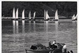 [Caleta de] Angelmó