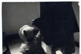 [Movimiento sugerido en una pequeña niña con sombrerito que baja la escalera de la mano de una mujer]