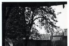 Camino a Constitución en día de lluvia