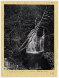 Alrededores de Puerto Williams, Isla Navarino