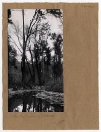 [Paraje] entre Unión y Valdivia