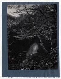 [Paraje] en Isla Navarino