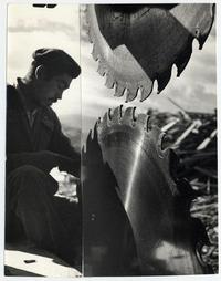 Aserradero en Aysén