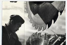 Aserradero en Aysén