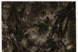 Cristalización de la hidroquinona