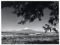 Volcán Osorno desde Puerto Octay, Lago Llanquihue