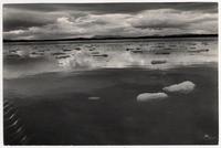 Témpanos en Laguna San Rafael