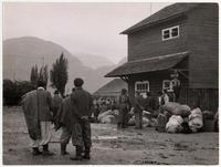 Chilotes vuelven de la esquila que hacen en Argentina, esperado embarcar