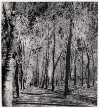 Parque Forestal, efecto de tono a línea