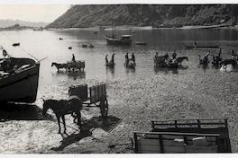 [Pescadores en carretelas tiradas por caballos a orllas de la caleta]
