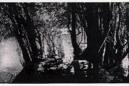 Riberas del Río Bueno