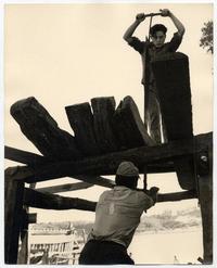 Astilleros del Maule: Aquí trabajan obreros de todas las edades cortando cuadernas