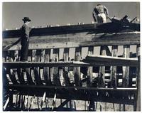 Esqueleto está fomado por las cuadernas, éstas a su vez dan forma al casco