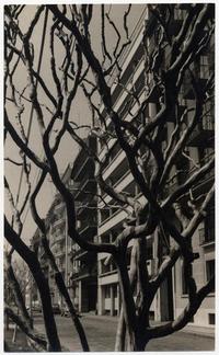 Calle Ismael Valdés Vergara