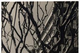 Calle Ismael Valdés Vergara